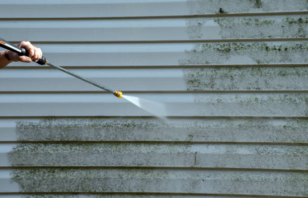 Best Deck Pressure Washing  in Temple Terrace, FL