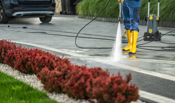 Best Deck Cleaning Services  in Temple Terrace, FL