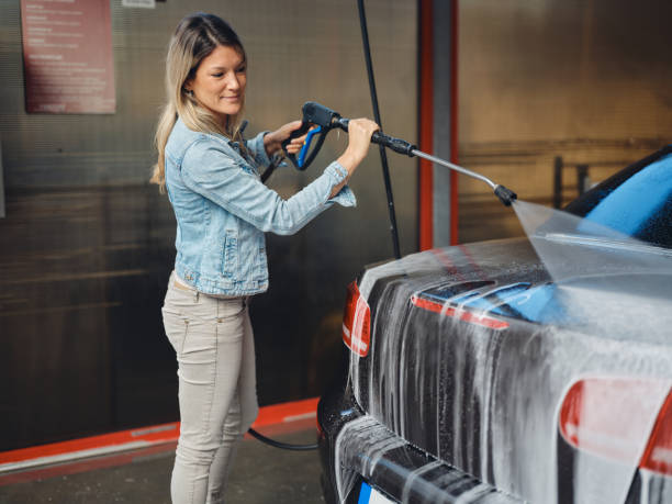 Best House Pressure Washing  in Temple Terrace, FL